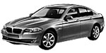 BMW F10 P3156 Fault Code